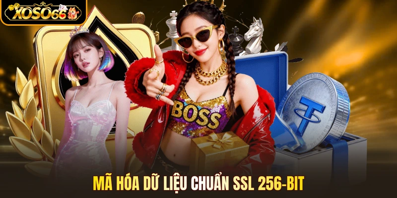 Mã hóa dữ liệu chuẩn SSL 256-bit