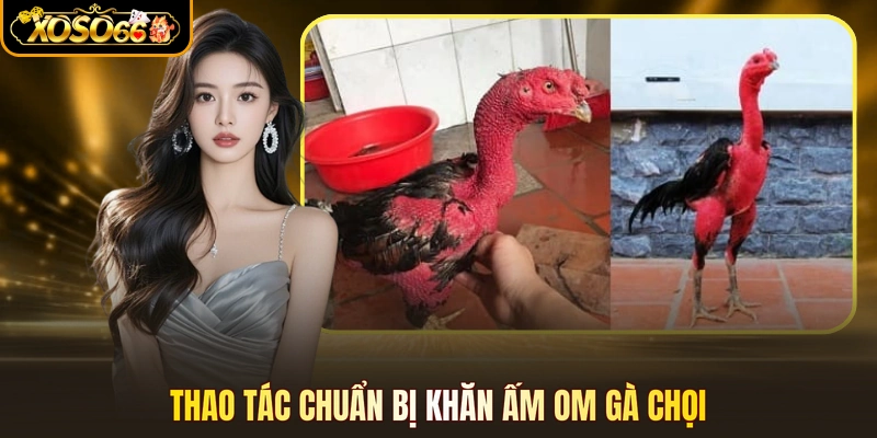 Thao tác chuẩn bị khăn ấm om gà chọi