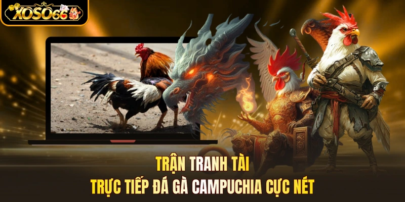 Trận tranh tài trực tiếp đá gà campuchia cực nét